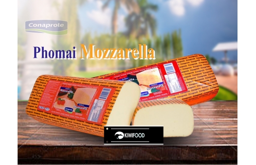 Phomai Mozzarella và các dòng phomai được ưa chuộng phổ biến